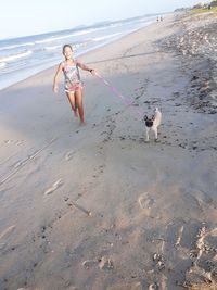 Full length of a dog on beach