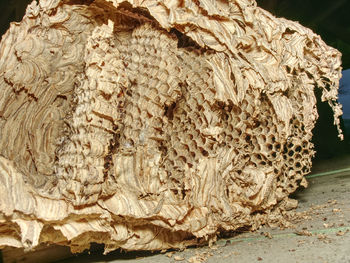 Close-up of bread on table