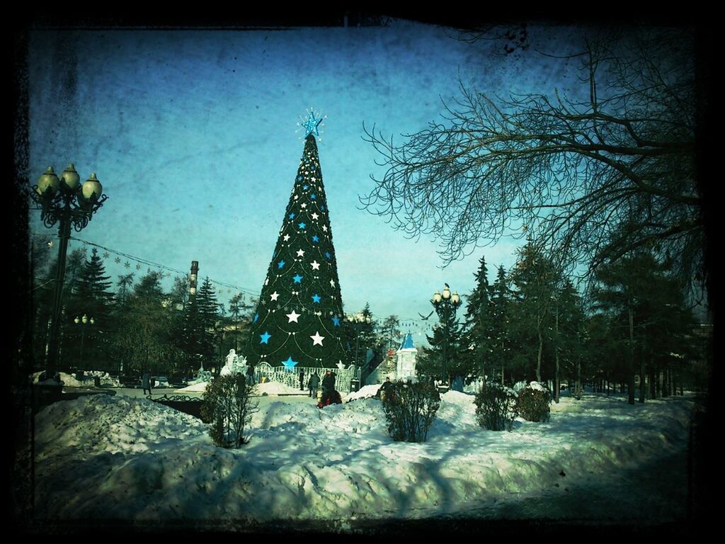 transfer print, auto post production filter, tree, built structure, architecture, building exterior, sky, snow, winter, low angle view, cold temperature, clear sky, bare tree, outdoors, nature, season, day, no people, branch, dusk