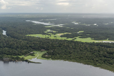 Beautiful aerial view to flooded green amazon rainforest and river