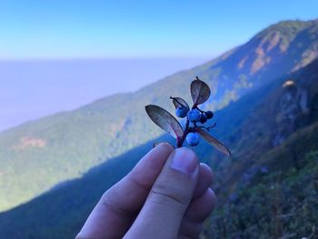 Close-up of hand holding fruit against mountain