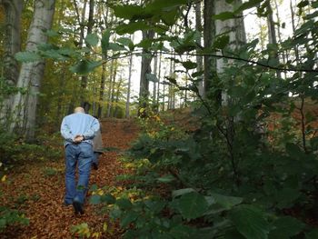 Woman standing on tree trunk in forest