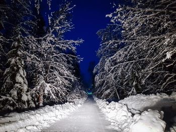 Bare trees against sky at night during winter