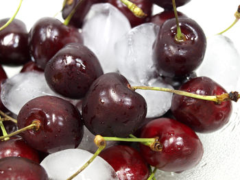Close-up of red fruits