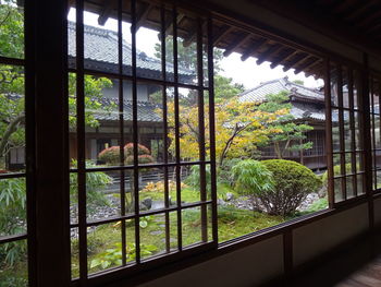 Plants seen through glass window of building