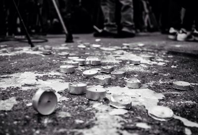 Close-up of surface level of leaf