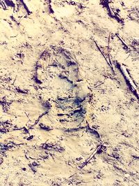 Full frame shot of white background