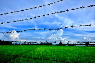 Barbed wire fence on field against sky