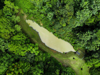 High angle view of stream amidst trees in forest