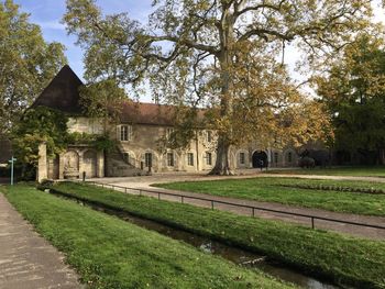 Autumn in the arquebuse botanical garden and arboretum in dijon. it has a natural history museum too