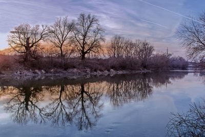 Reflection of bare trees in lake against sky