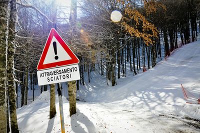 Information sign on tree trunk during winter