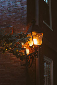 Illuminated light bulb