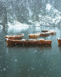 Ice cream on frozen lake against trees during winter