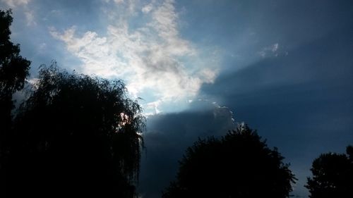 Low angle view of silhouette trees against sky