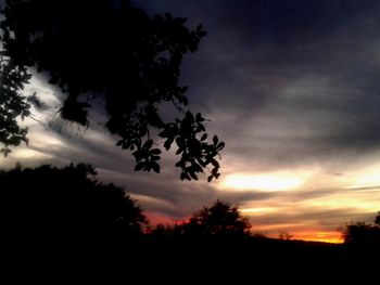 Silhouette trees against sky during sunset