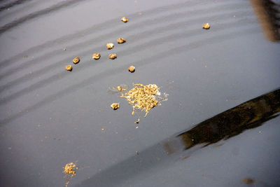 High angle view of wet sand on beach