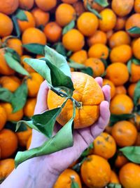 Close-up of fruits for sale at market stall