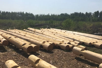 Stack of stones on field in forest against sky