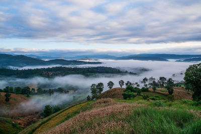 Scenic view of fog on field against sky