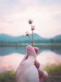 Close-up of cropped hand holding flowers against lake