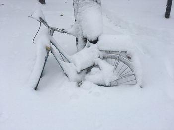 Snow covered bicycle