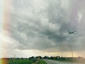 Low angle view of airplane flying over field