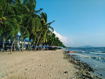 Palm trees on beach against clear blue sky