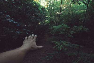 Low section of woman standing in forest