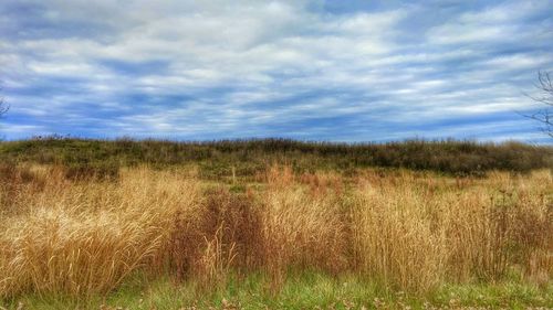 Scenic view of grassy field against cloudy sky