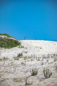 Scenic view of beach against clear blue sky