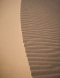 Close-up of sand dunes at beach