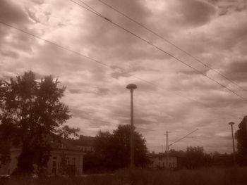 Low angle view of trees against sky