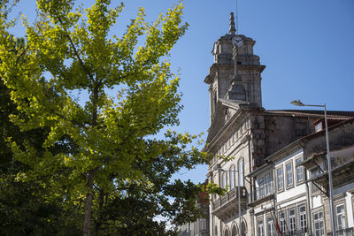 Low angle view of trees and building against sky