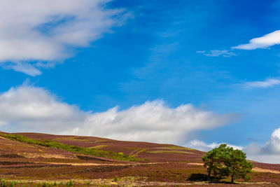 View of landscape against cloudy sky