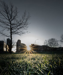 Grassy field against clear sky during sunset