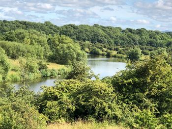 Scenic view of lake in forest against sky