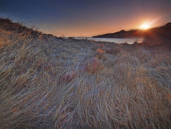 Sunset over sea