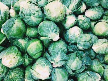 Full frame shot of brussels sprouts for sale in market