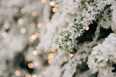 Closeup photo of christmas tree with snow, christmas ornaments, christmas lights, bokeh lights.