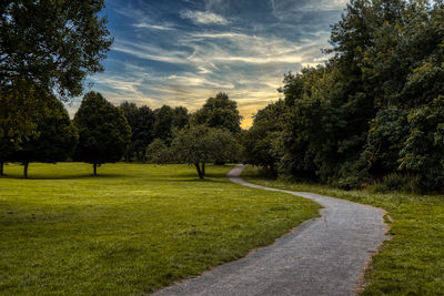 Trees growing by road against sky