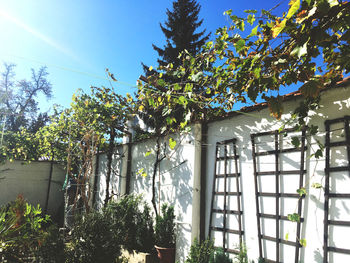 Low angle view of trees and building against sky