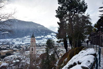 Trees and buildings against sky during winter