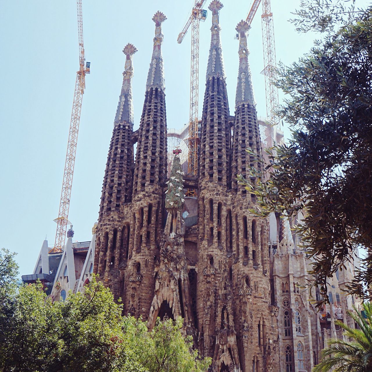 architecture, built structure, building exterior, religion, place of worship, tree, low angle view, famous place, spirituality, tower, travel destinations, history, international landmark, tourism, clear sky, travel, tall - high, steeple, cathedral