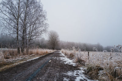 Trees on snow covered landscape