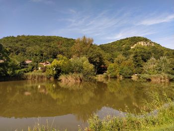 Scenic view of lake and trees against sky