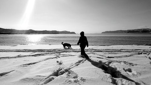 Rear view of person with dog walking on frozen riverbank