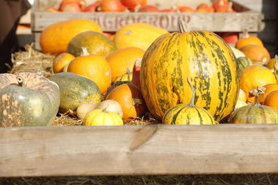 Close-up of pumpkins for sale at market stall