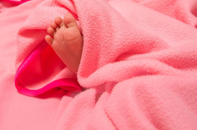 Low section of baby under pink blanket