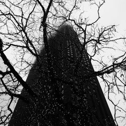 Low angle view of bare trees